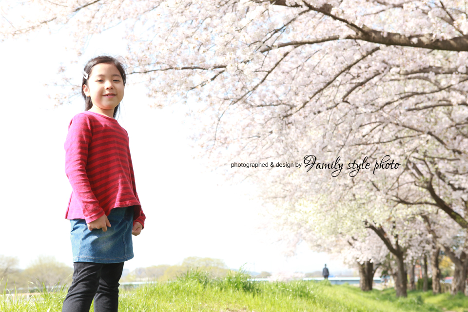 子供写真　桜