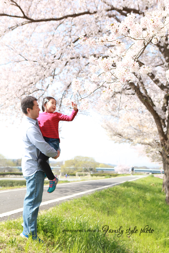桜と家族写真