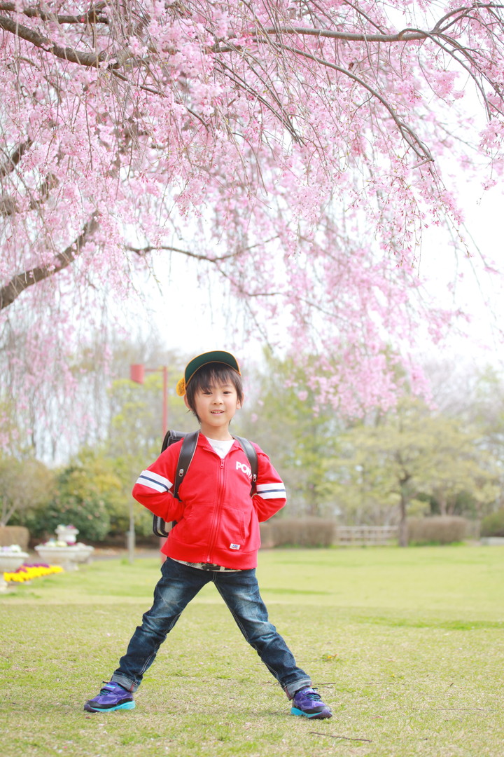 桜の木の前に立つ子供