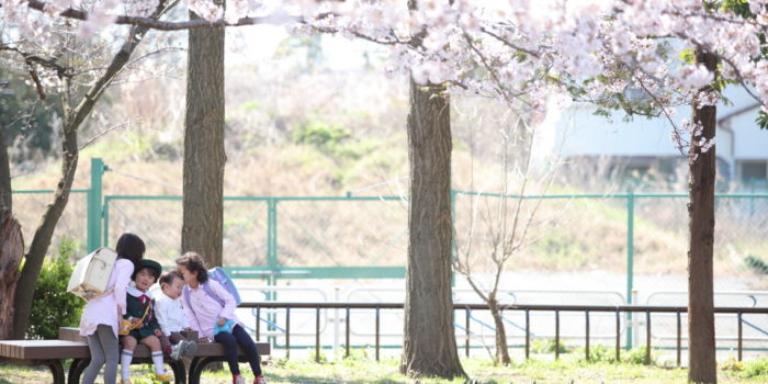 桜の木下で家族写真